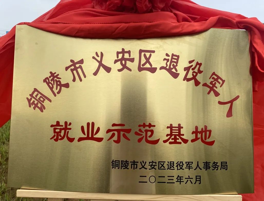 云顶集团·3118(中国)官方网站